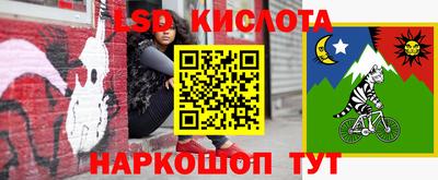 кокс Гатчина