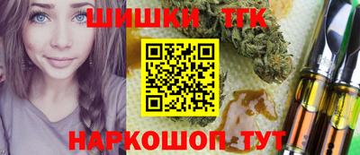 кокс Гатчина