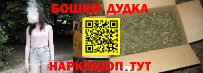 кокс Гатчина