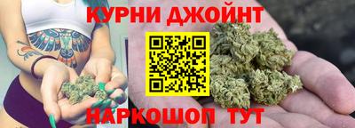 кокс Гатчина