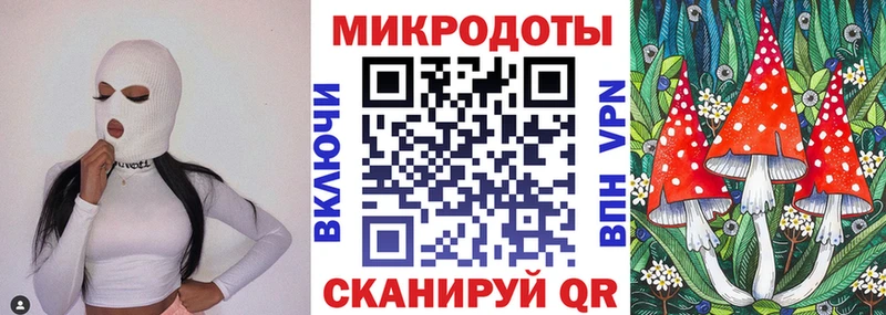 хочу наркоту  Котовск  Галлюциногенные грибы Magic Shrooms 